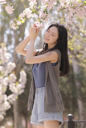 每日更新龙年快乐