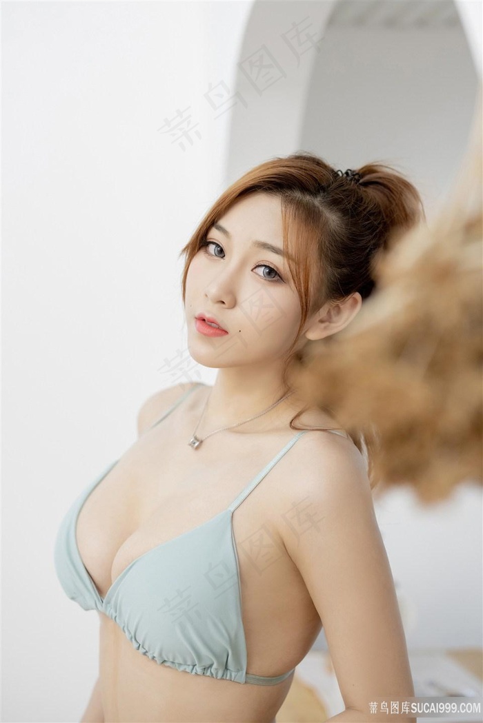 85版楚留香鹦鹉传奇