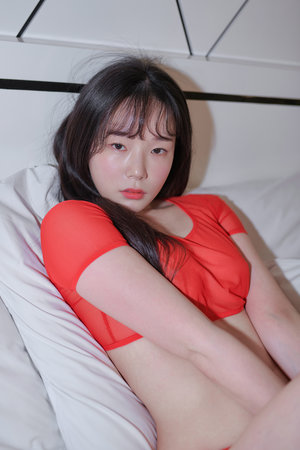 爱情悠悠药草香简介