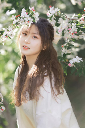 小猪佩奇全集免费版