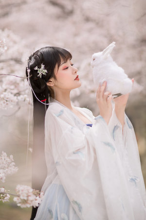 亚洲vs欧洲vs非洲高清