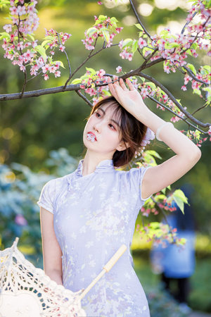 台湾版红楼梦辛仁版