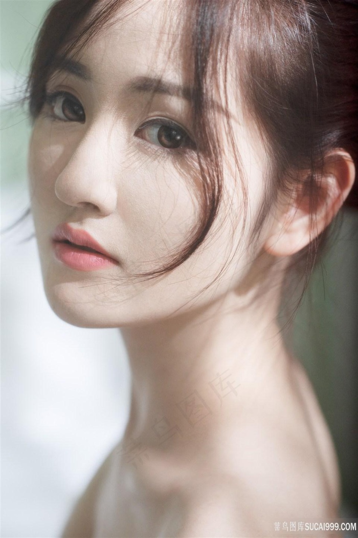 久久久久久久久毛片精品