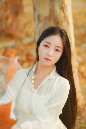 鹰击长空2进不去