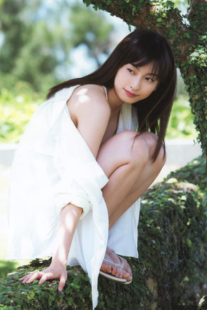 浙版西游记全集