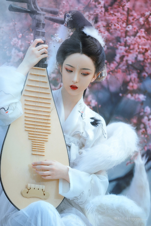 男人放进女人阳道图片