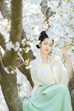 斗鲨电影高清完整版