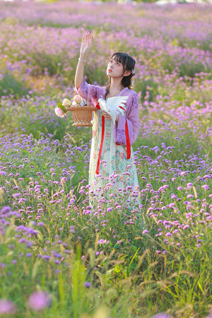 一级特黄aa大片欧美