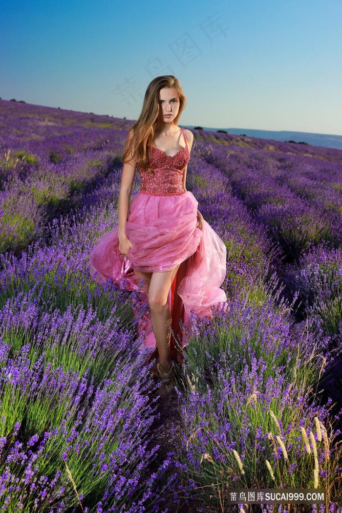 两个人的房间bd高清