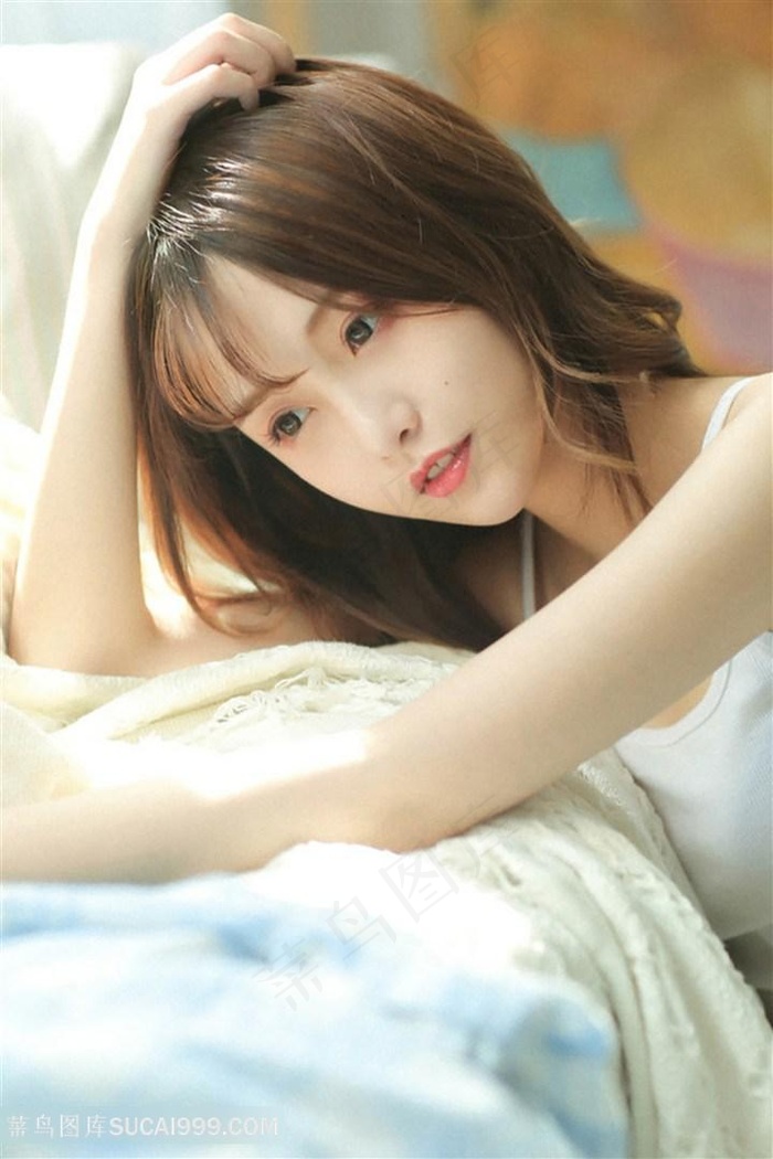 法国航空啄木鸟在线