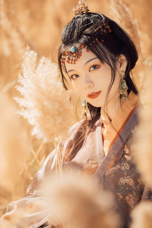 一级A片大片在线不卡