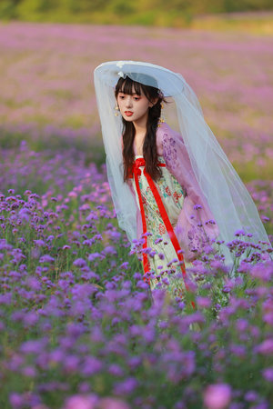 日本高清无专码免费区