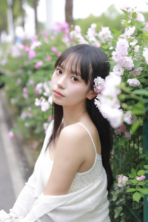 最新仑乱免费视频