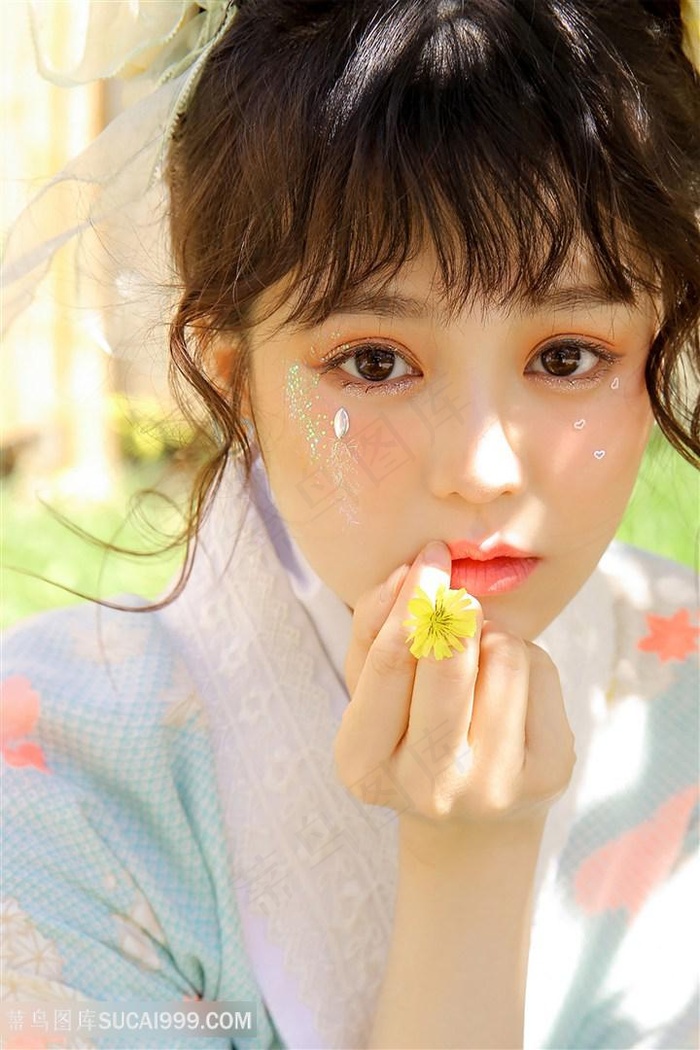 大清气数录国语在线