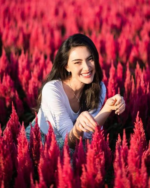 格雷五十道阴影