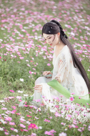 一区二区免费亚欧美无遮挡高清