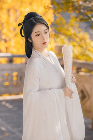 一起来看流星雨bgm纯音乐