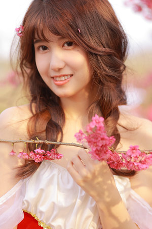 免费无码又爽又刺激激情视频软件