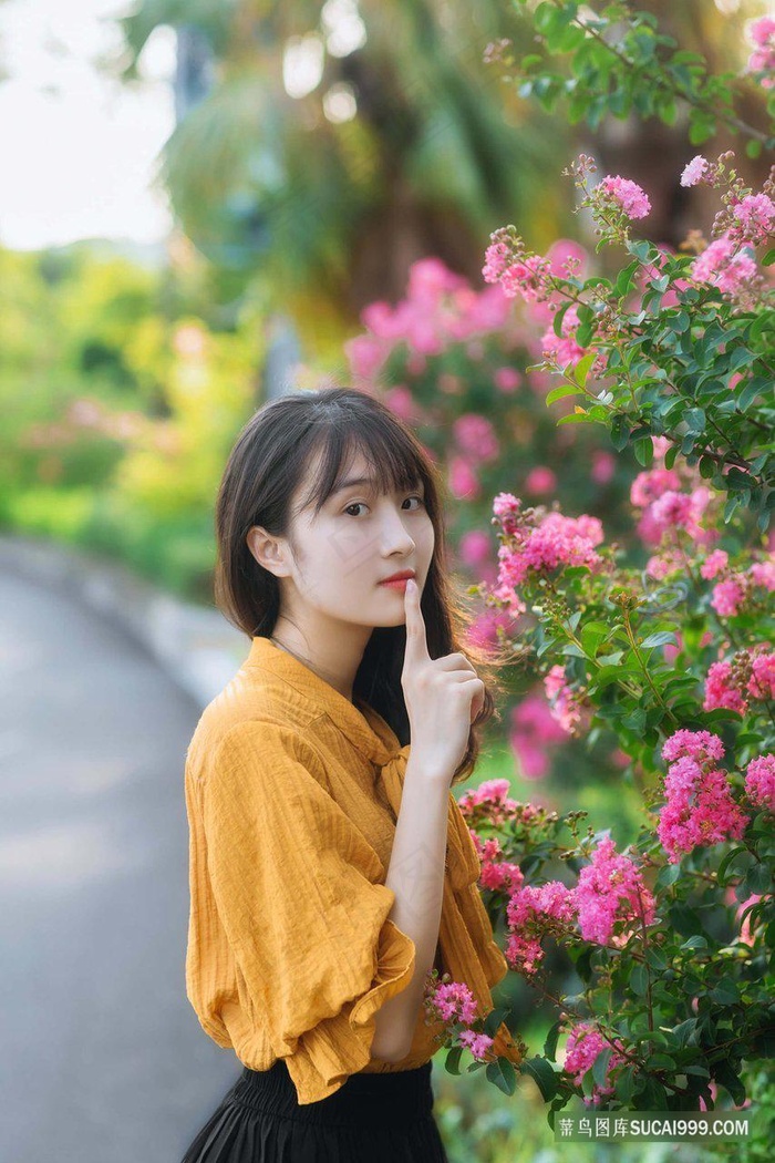 高压监狱啄木鸟的英语